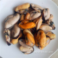 well cleaned frozen cooked mussel meat